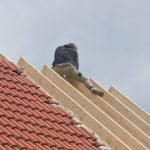 Residential Roofing Company in Miami, Florida