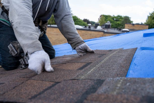 Professional roofing contractor inspecting shingles in Miami Gardens<br />
