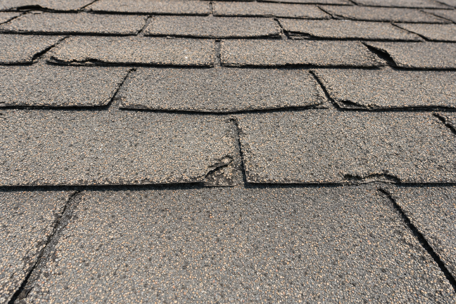 close-up documentary photo of aging asphalt shingles on a Florida roof showing granule wear and slight curling, bright natural daylight, no people, no text