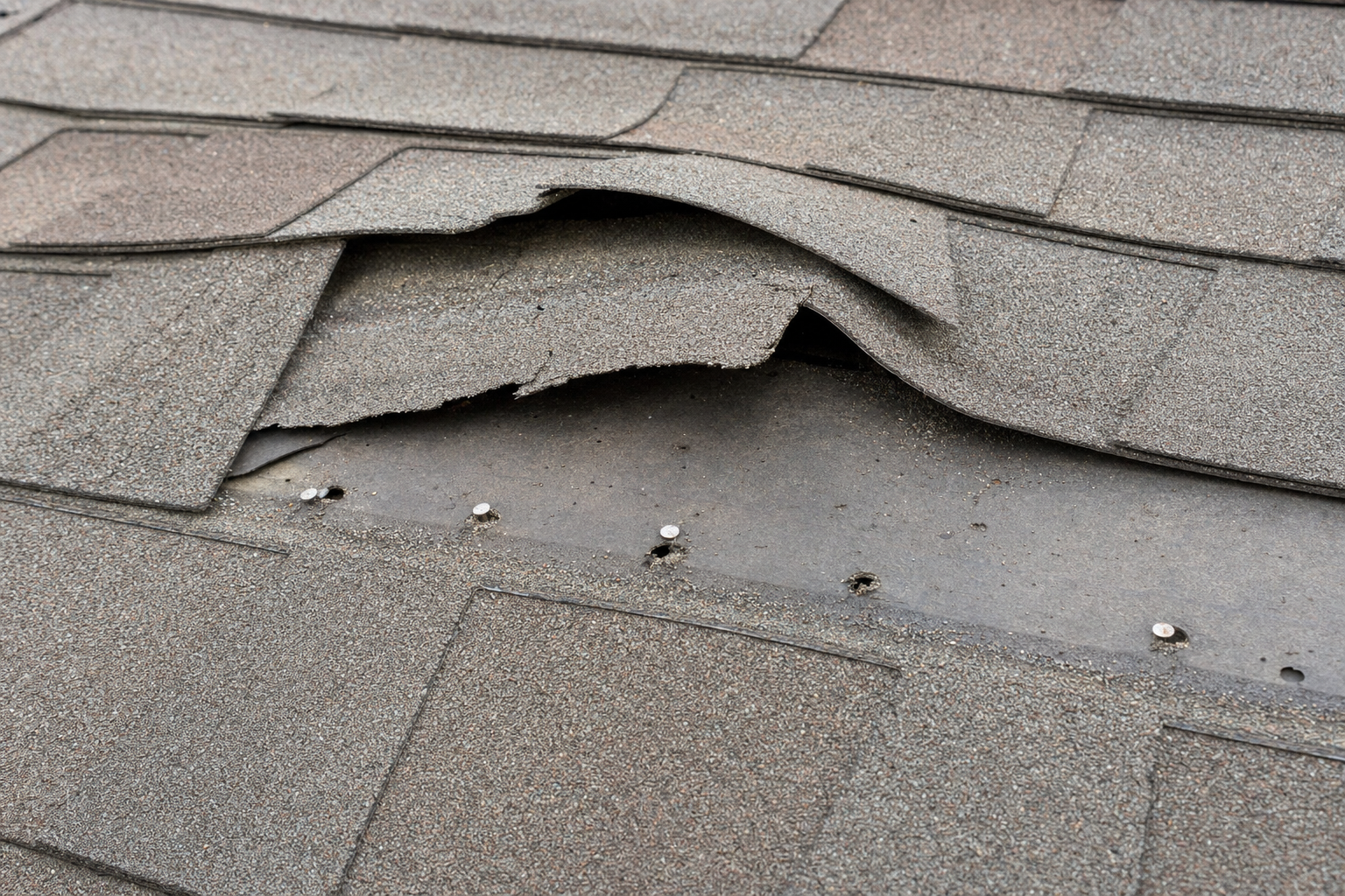close-up documentary photo of lifted asphalt shingles and exposed fasteners on a Florida roof after heavy wind, no people, bright overcast inspection lighting, realistic texture, no text